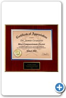 Jamie Cesaretti, MD: Most Compassionate Doctor Award 2011 Certificate of Appreciation